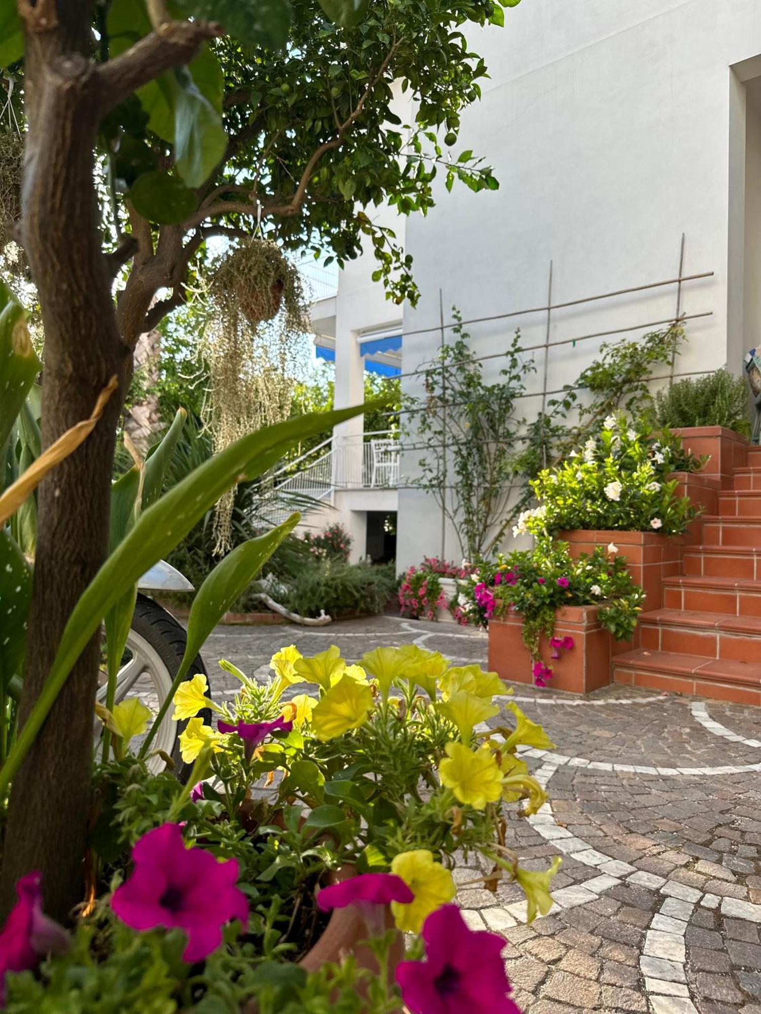 Villa Cettina Boutique Hotel Сорренто Экстерьер фото